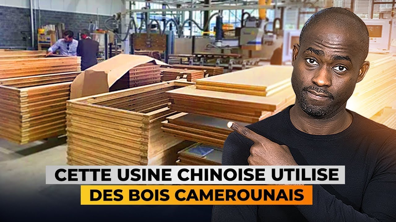 Choqué!!! Regardez ce que les Chinois font du bois Camerounais