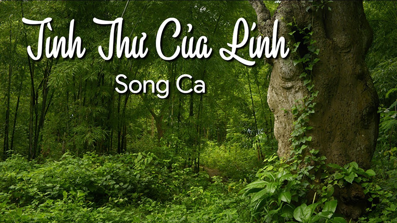Karaoke Tình Thư Của Lính (Song Ca Nhạc Phối)_Karaoke Phúc Nguyễn