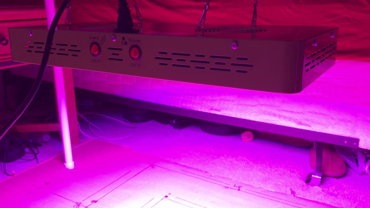 Mars Hydro reflector 96 PAR Review