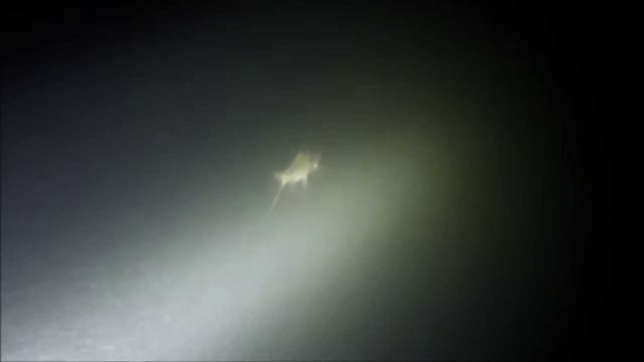 Atlantis - Plongée de nuit - Lac d'Alfeld