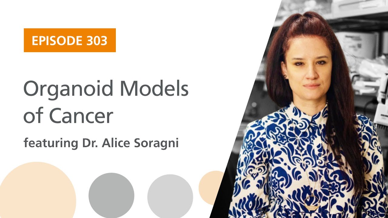 Organoid Models of Cancer featuring Dr. Alice Soragni | The Stem Cell Podcast