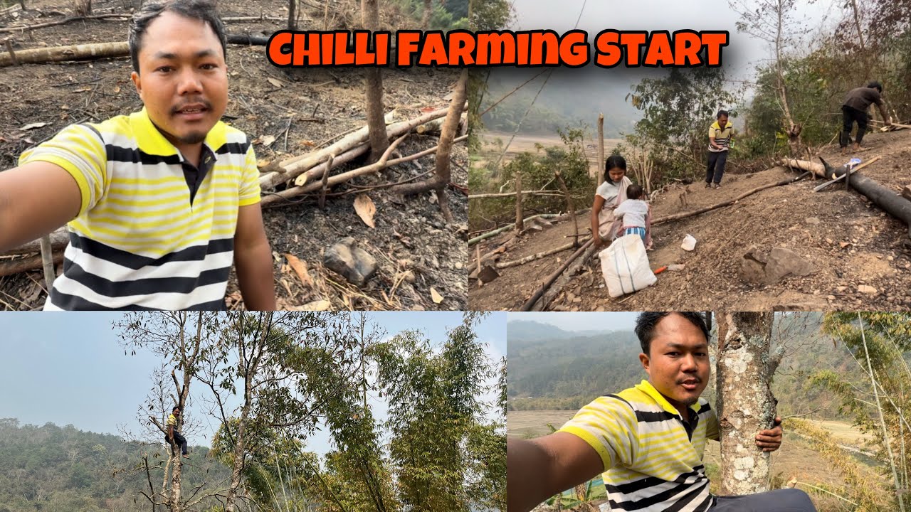 Small Chilli Farm in the Mountains