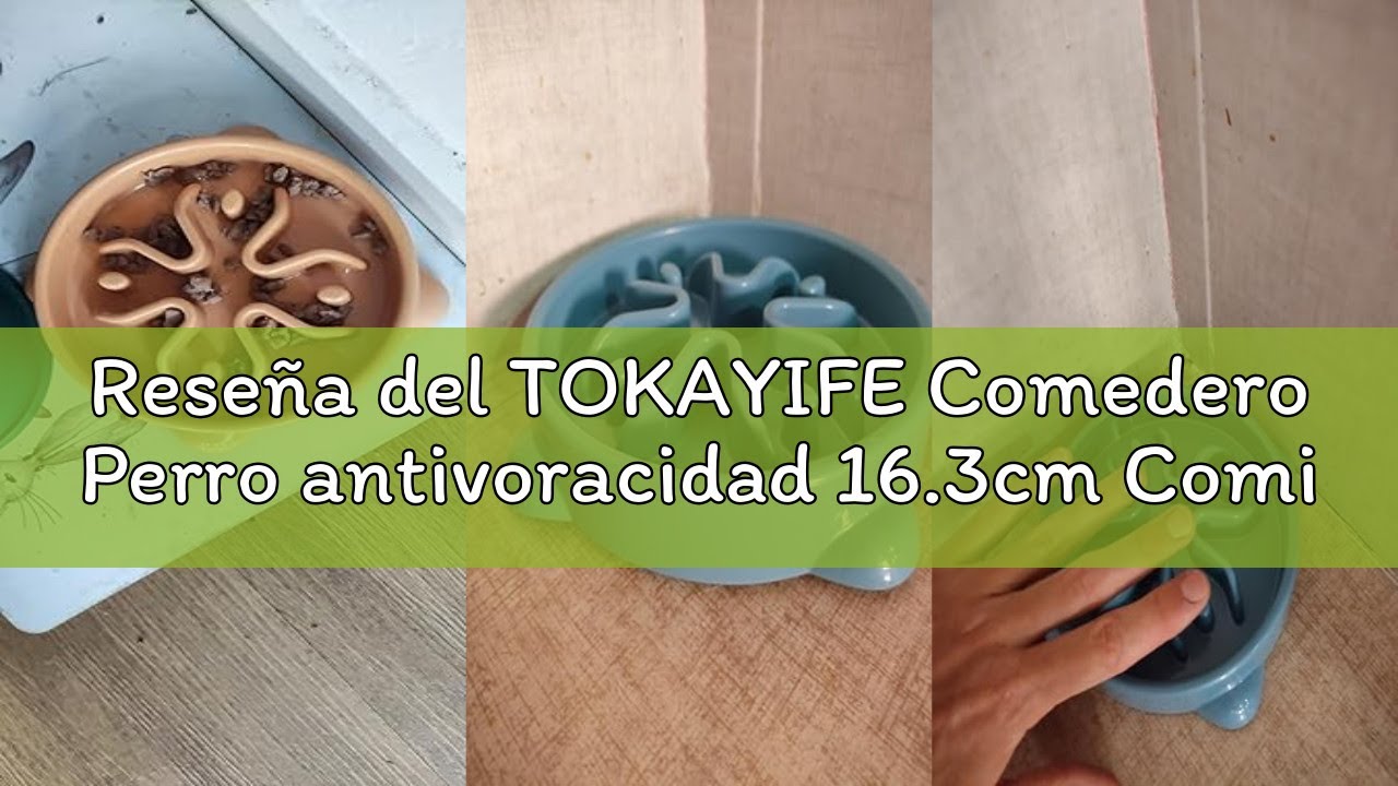Reseña del TOKAYIFE Comedero Perro antivoracidad 16.3cm Comida Lenta para Mascotas Cuenco antiregurg