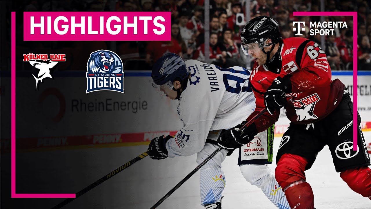 Kölner Haie - Straubing Tigers | PENNY DEL | MAGENTA SPORT