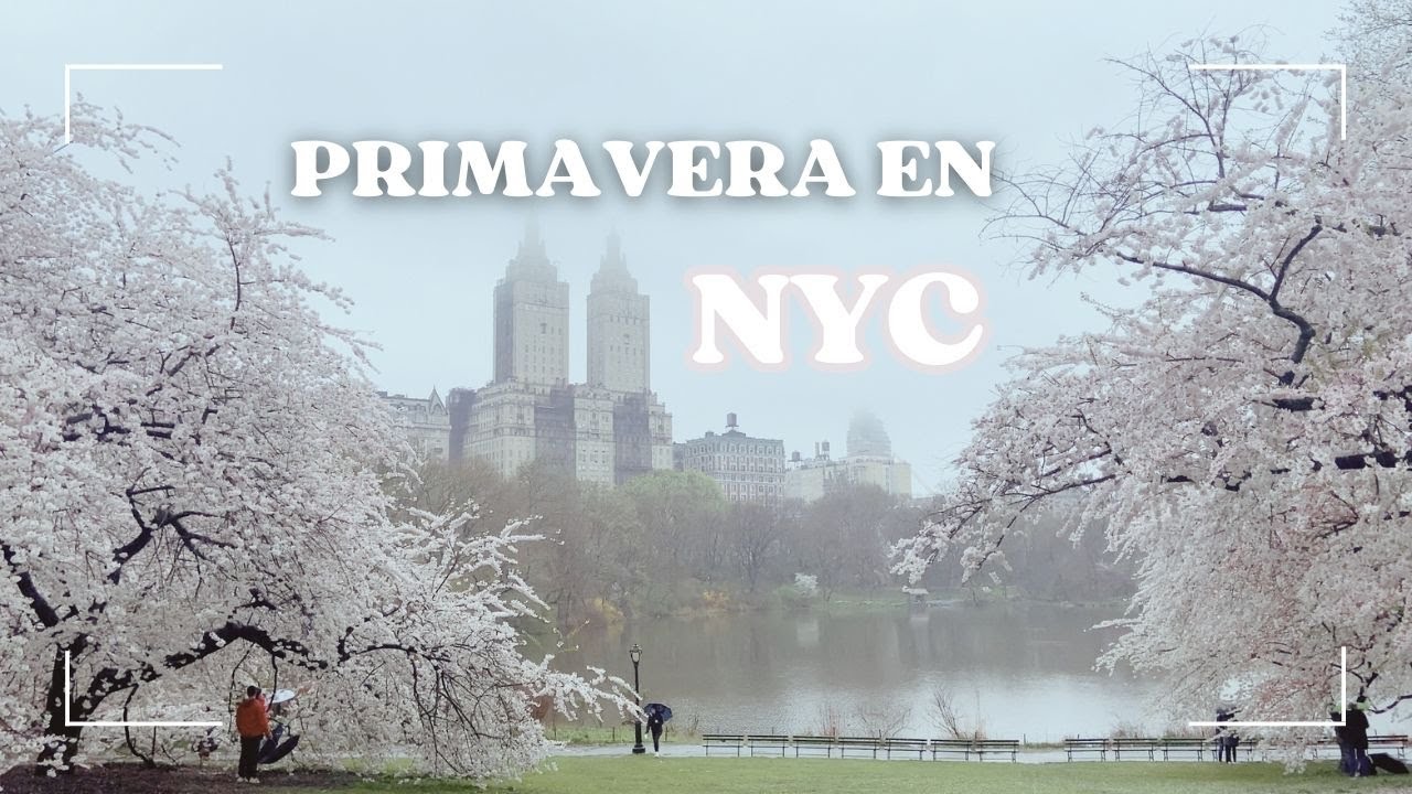 🌸Primavera en la Ciudad de Nueva York 🌸 | Lugares donde encontrar Cherry Blossoms, magnolias