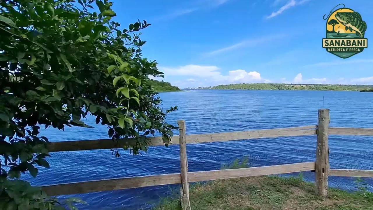 Fazenda Santo Antônio - Região da Cidade de Silves Amazonas