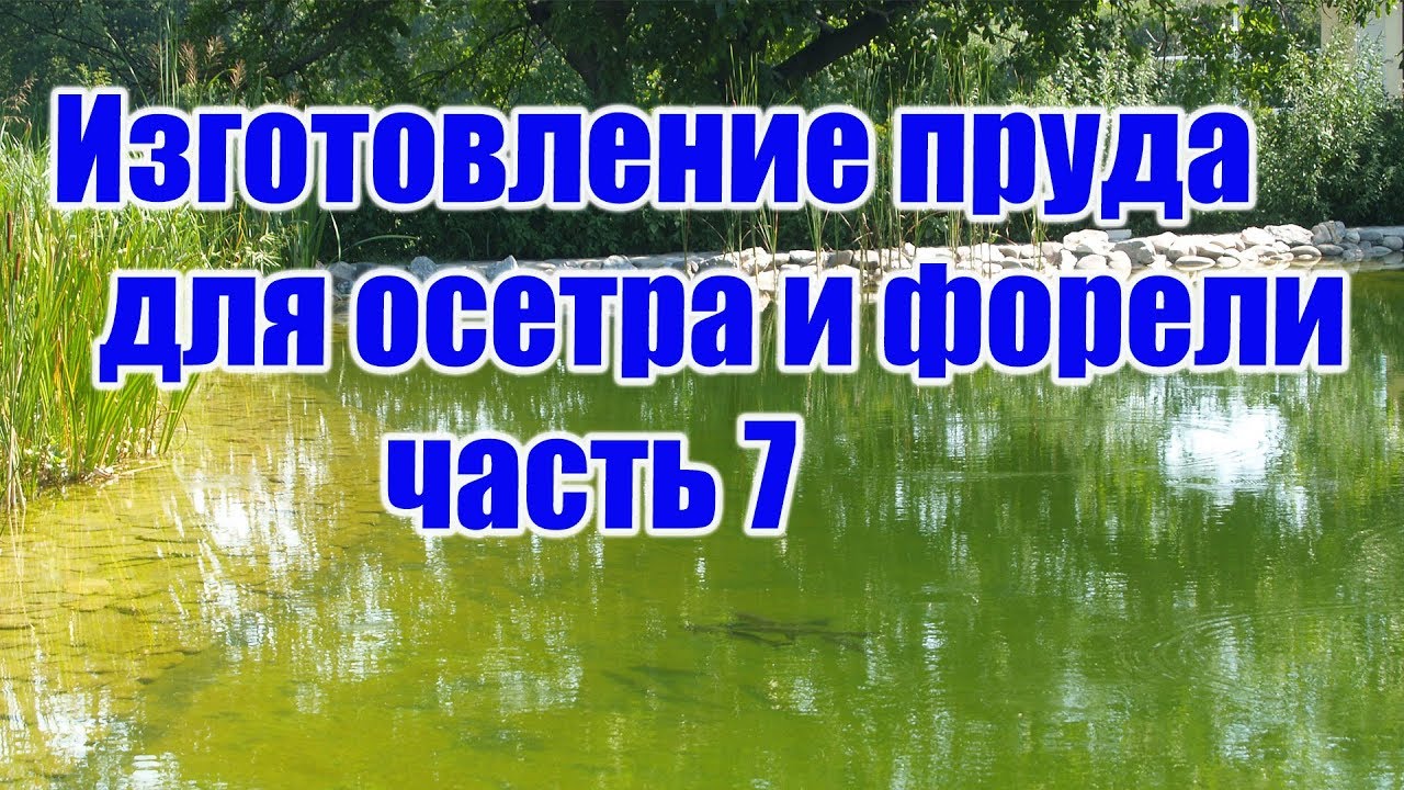 Изготовление пруда для осетра и форели (часть 7)