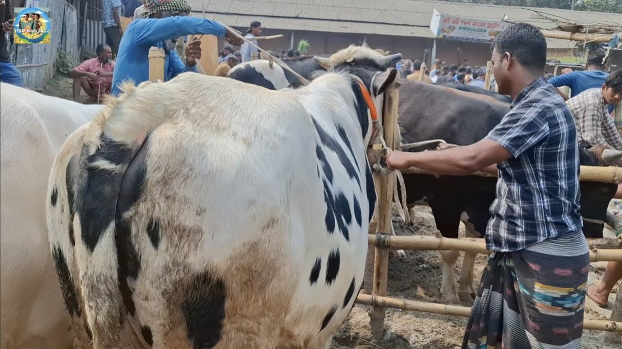 @ মঙ্গলবার ২৪ ফেব্রু