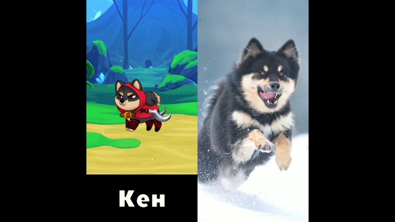 Dungeon Dogs в реальной жизни!!!🐶🐕🦊