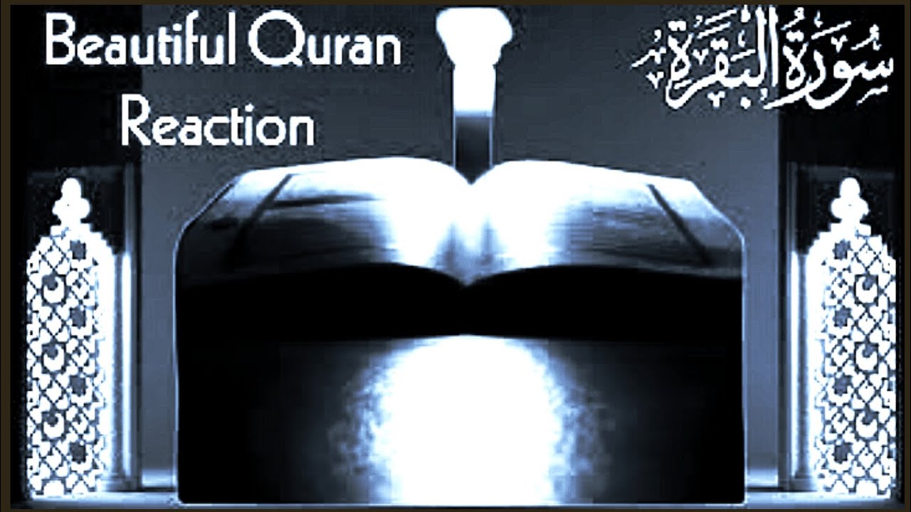 Surah Baqarah (Fast Recitation) Quick Reading By Sheikh Mishary Afasy With Arabic  سورة البقره Ep082