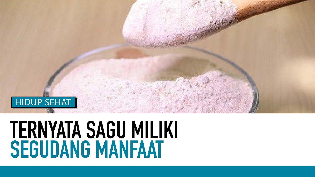 Tak Banyak Orang Tahu, Inilah Khasiat Ajaib Sagu | Nutrisi Alami