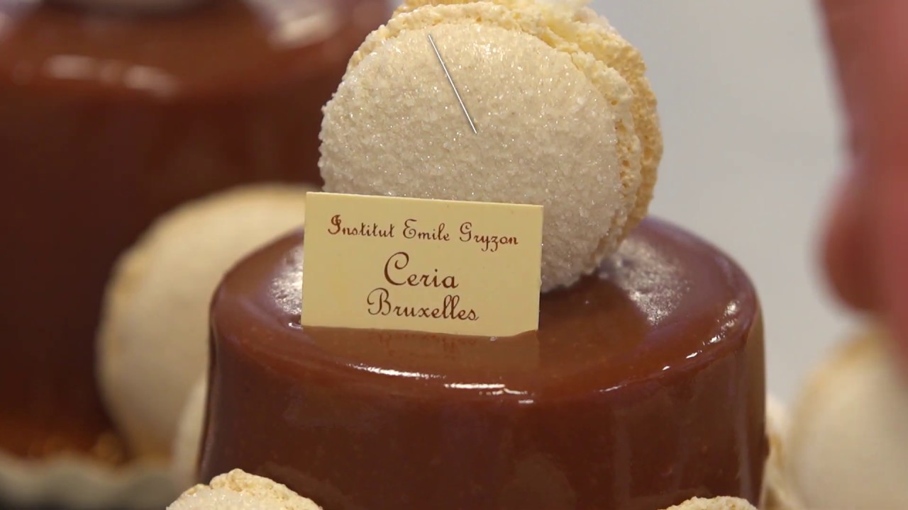 Présentation de l'Institut Emile Gryzon