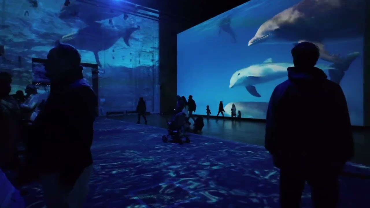 Le bassin des lumières, Bordeaux, Le thème : Océan, immersion dans le monde sous-marin