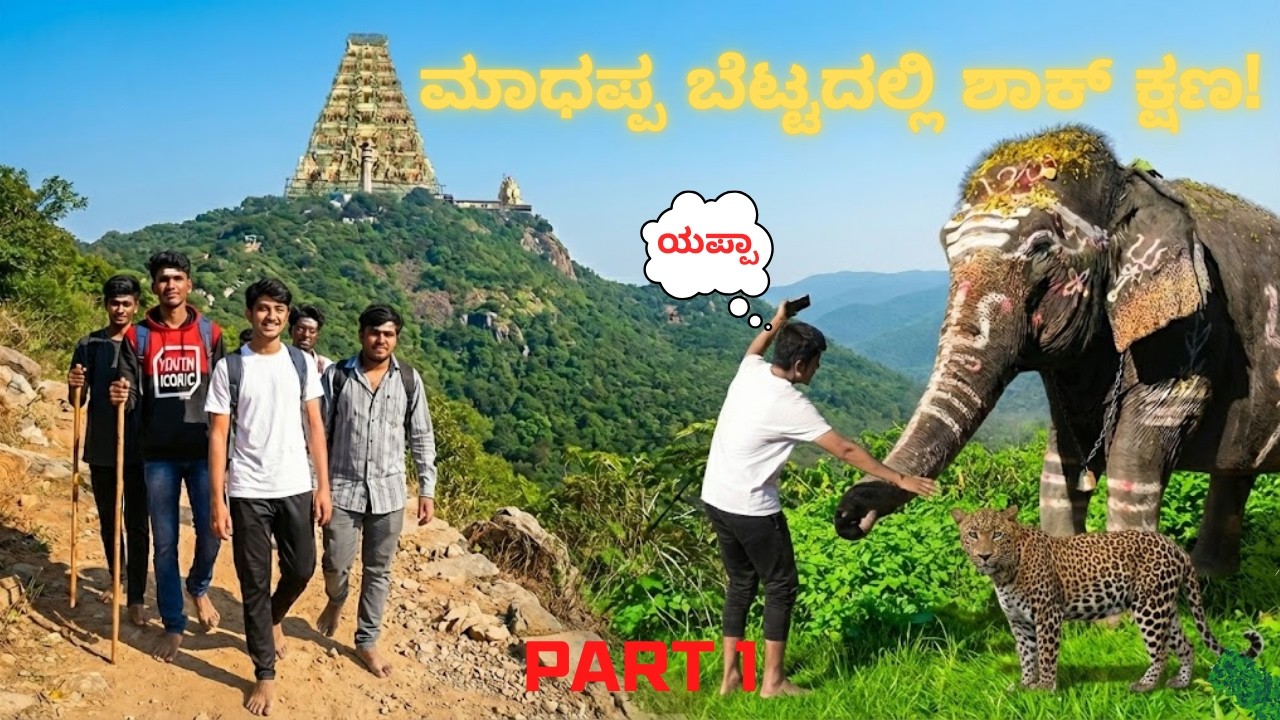 ಆನೆ ಮತ್ತು ಚಿರತೆ ಘಟನೆ |  M M Hills Padayatra Vlog