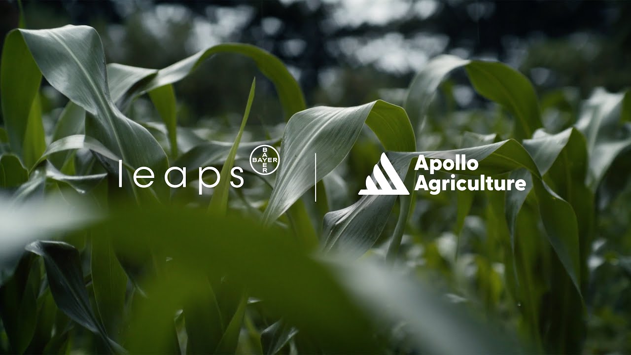 Apollo Agriculture Leverages Tech to Unlock the Potential of Smallholder Farmers