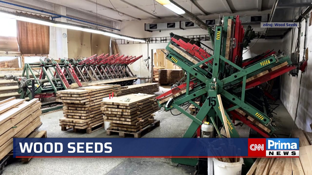 Od lesa až po hotový stůl: Wood Seeds roste díky akvizicím, soběstačnosti a udržitelnosti v Česku