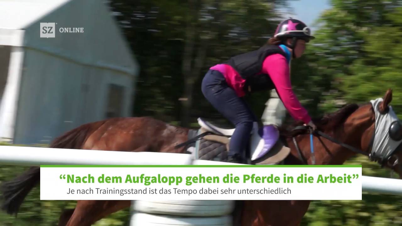 Ein Tag im Leben eines Rennpferdes