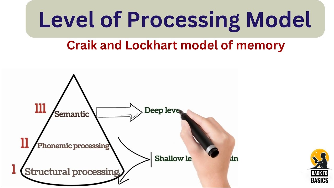Level of processing Model Memory # backtobasics