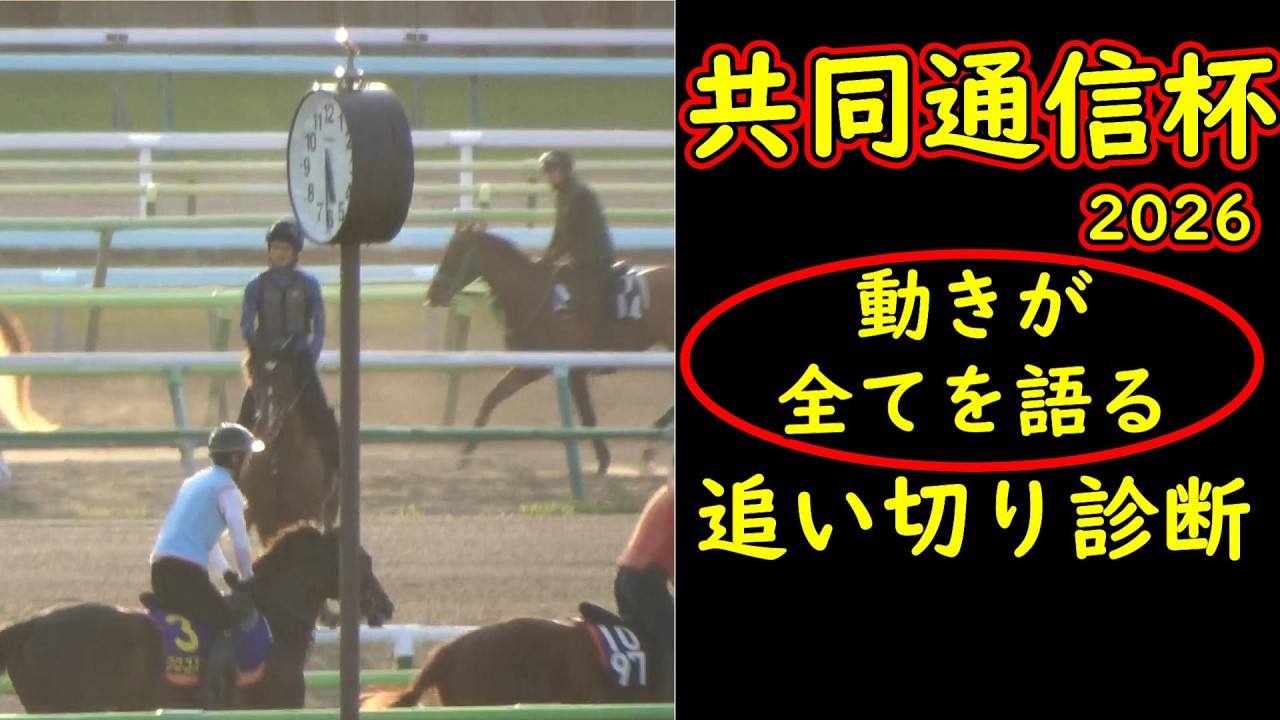 【共同通信杯2026追い切り診断】2歳王者の仕上がりは本物か？クラシック候補の明暗を徹底分析
