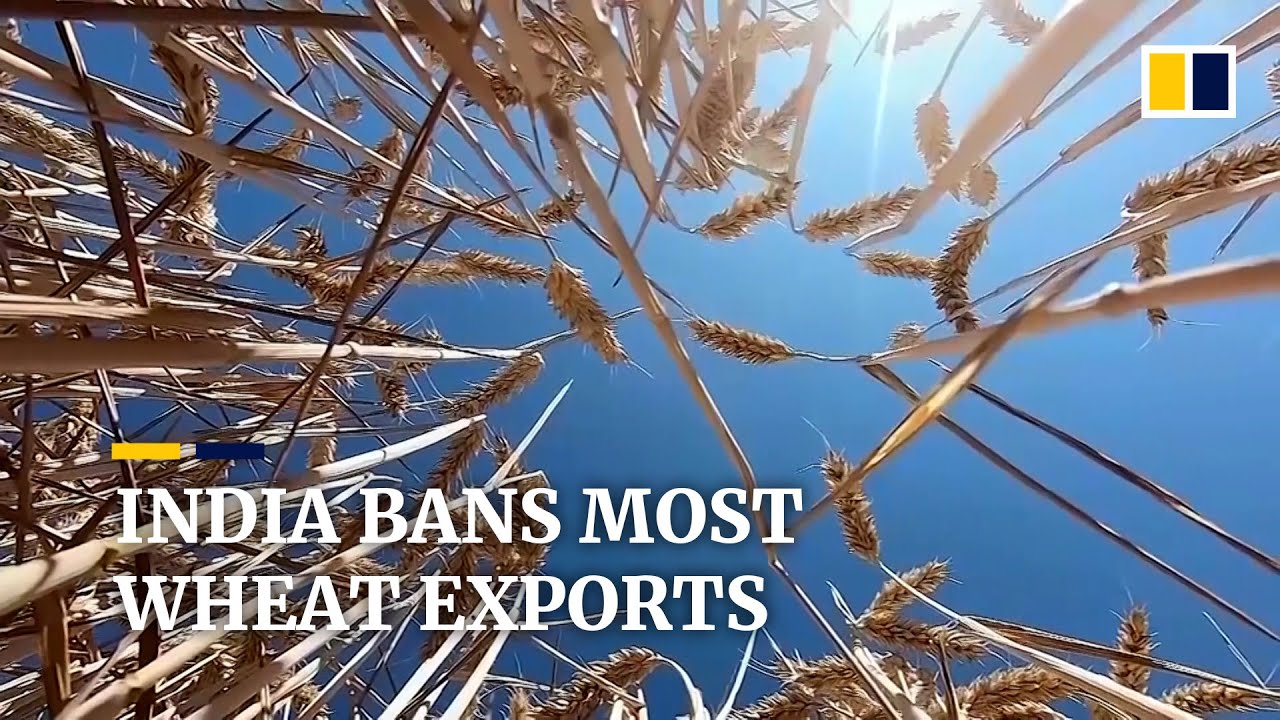 India halts wheat exports as food security threatened by heatwave, Ukraine war