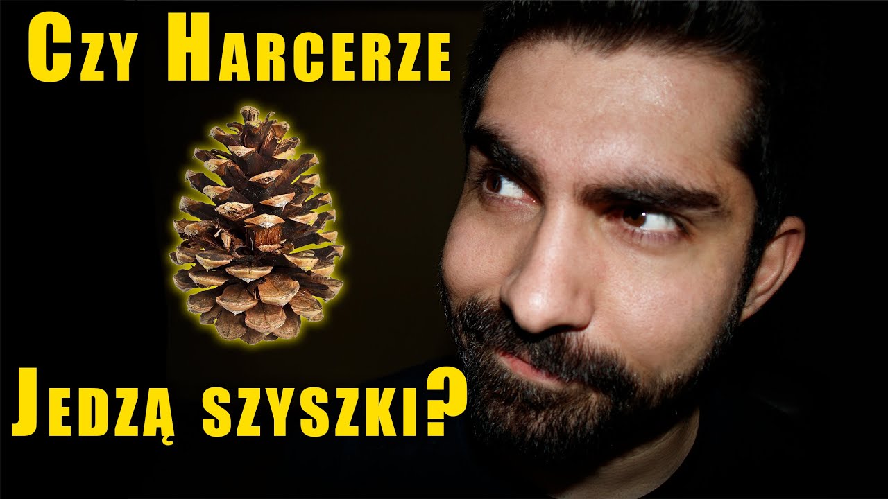 Czy harcerze jedzą szyszki?