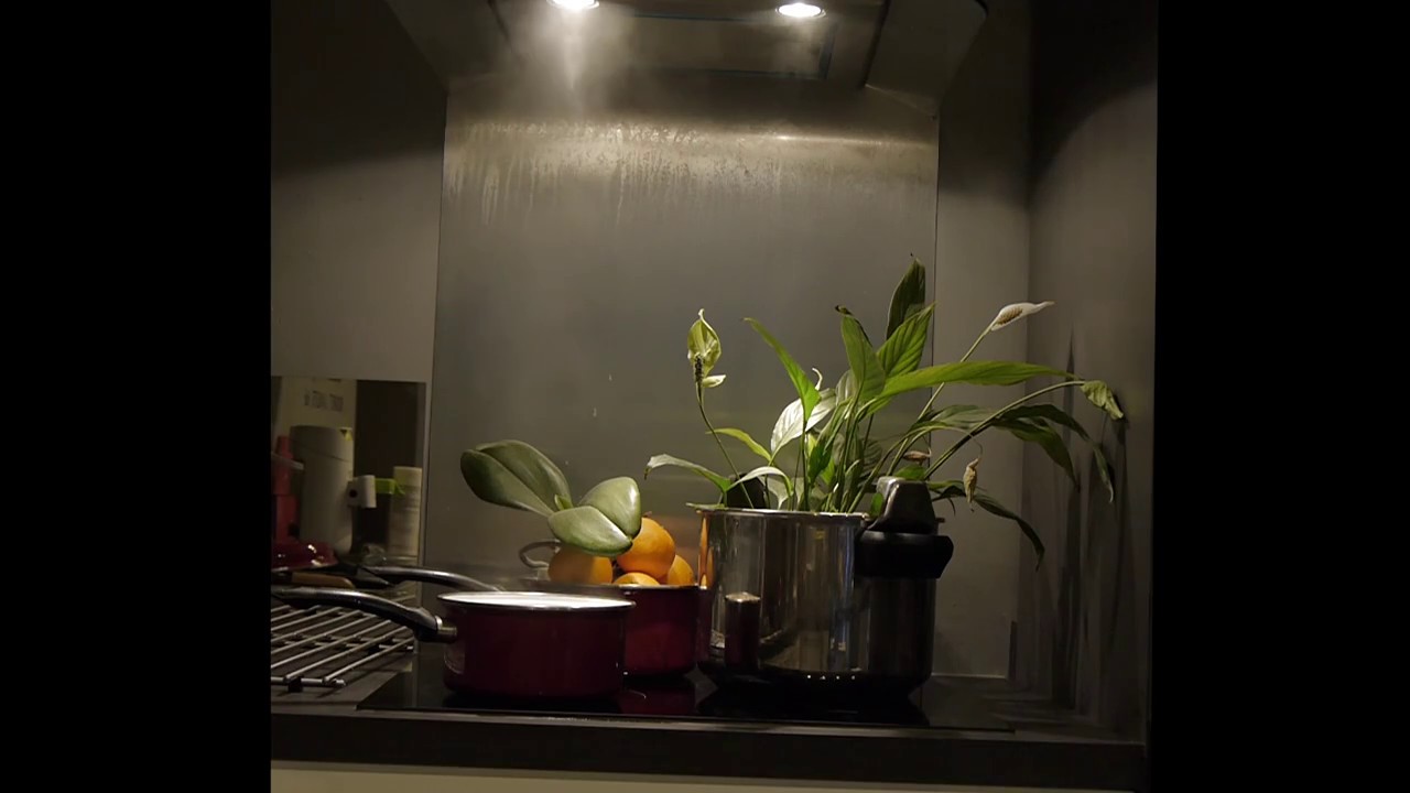 [jingle] tuto botanique