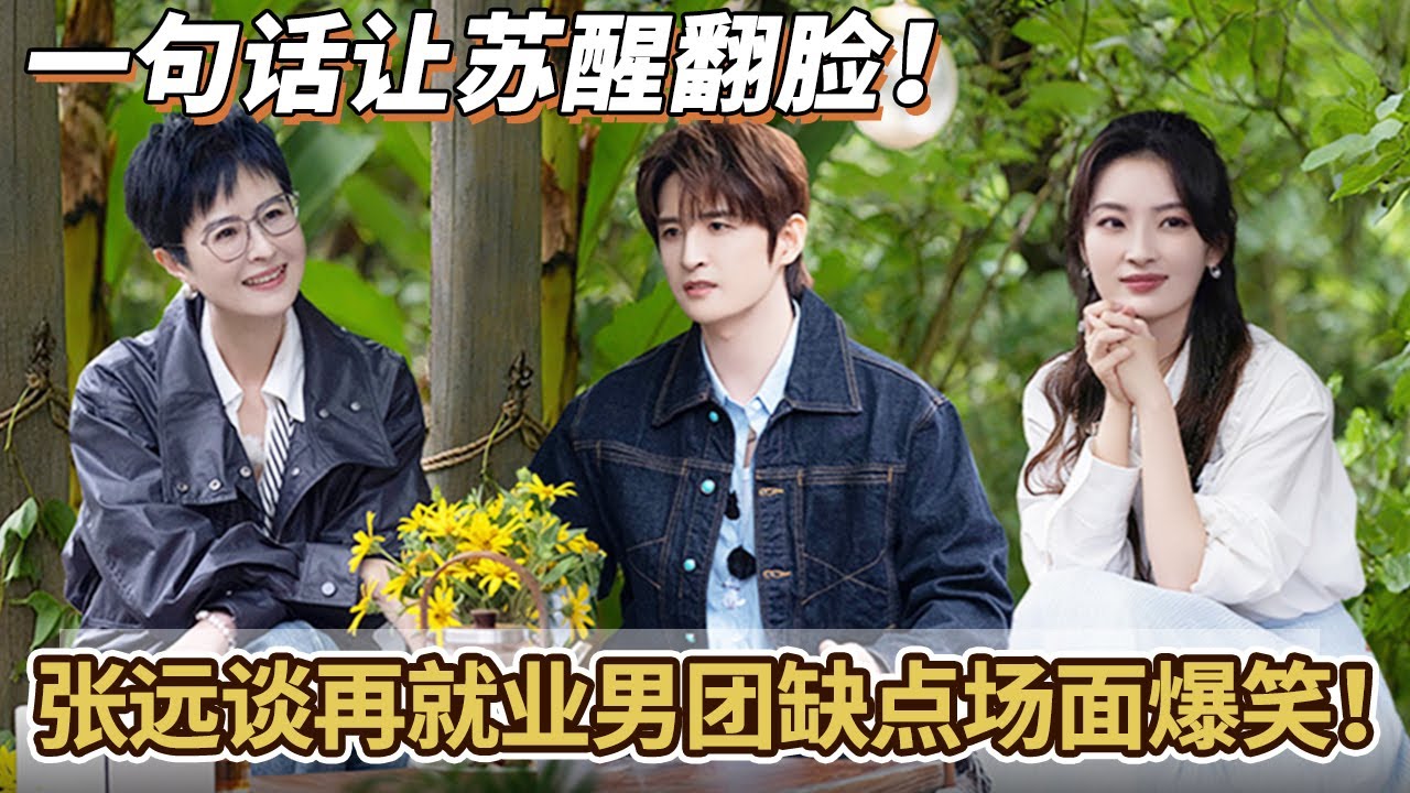 一句话让苏醒翻脸！张远谈再就业男团缺点场面爆笑！#0713 #再就业男团#快乐老友有风季#综艺#热门综艺#搞笑