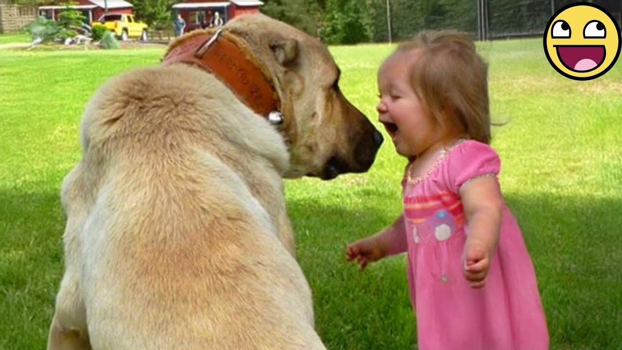 Brighten Your Day with 30 Minutes of Babies and Their Furry Besties! 🐶👶