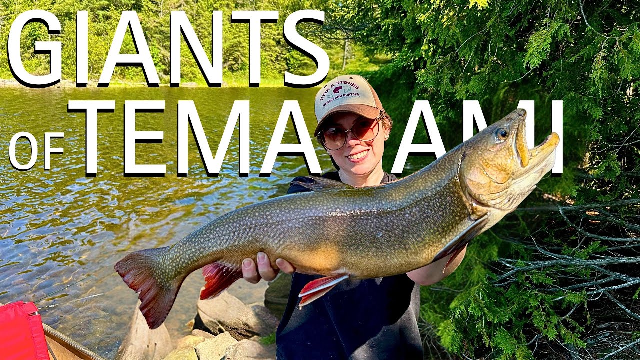 TROPHY TROUT FISHING in TEMAGAMI - Our BIGGEST TROUT to Date!