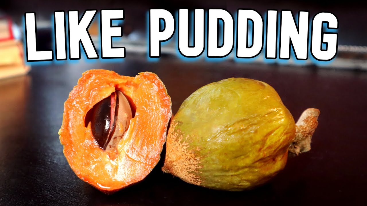 GREEN SAPOTE -  Finally Trying This Delicious & Rare Fruit! (AND 