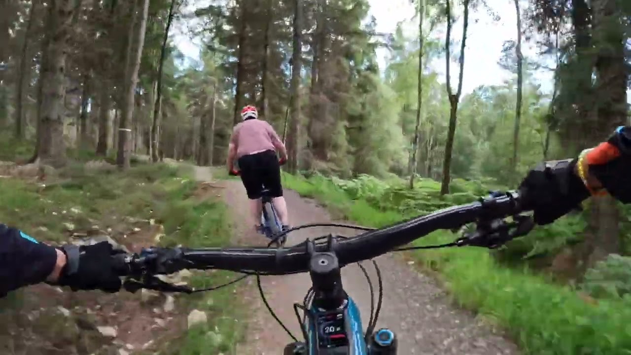 Banchory Woodland Trails- great for newbie mountain bikers
