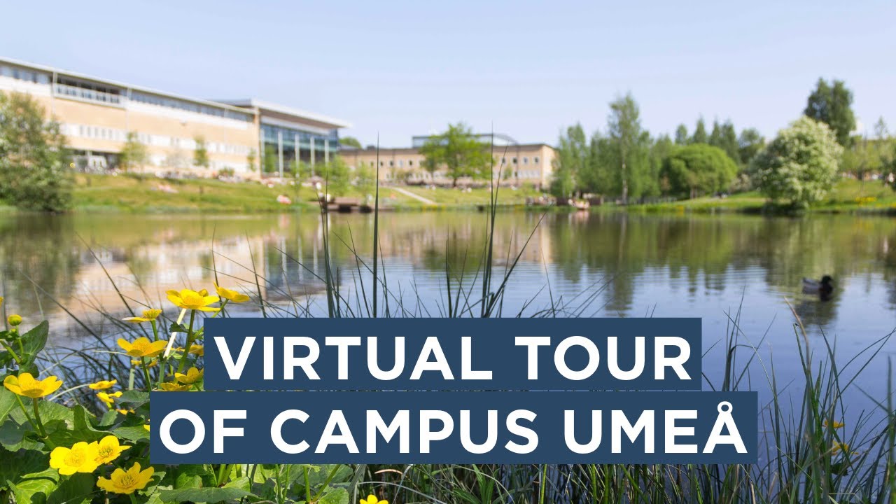 Take a virtual tour of Campus Umeå
