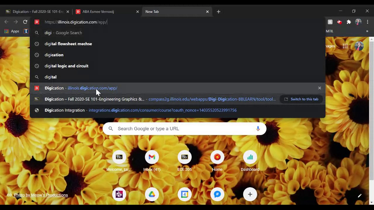 Getting Started with Digication