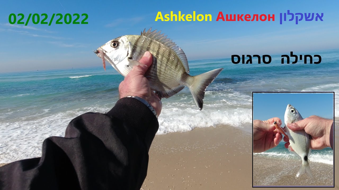 4K 02/02/2022 Ashkelon fishing Ашкелон рыбалка  אשקלון דיג