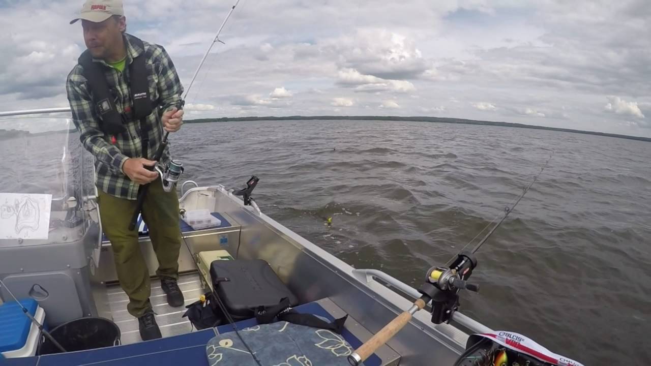 fiske i ringsjön