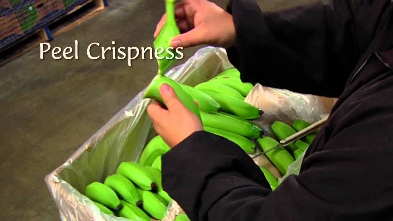 DOLE - Banana Ripening Process