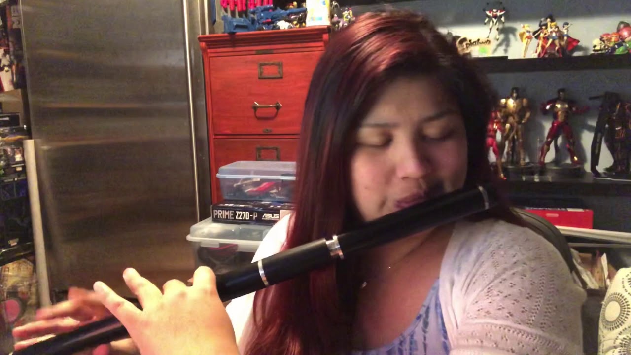 The Whistling Postman (reel)