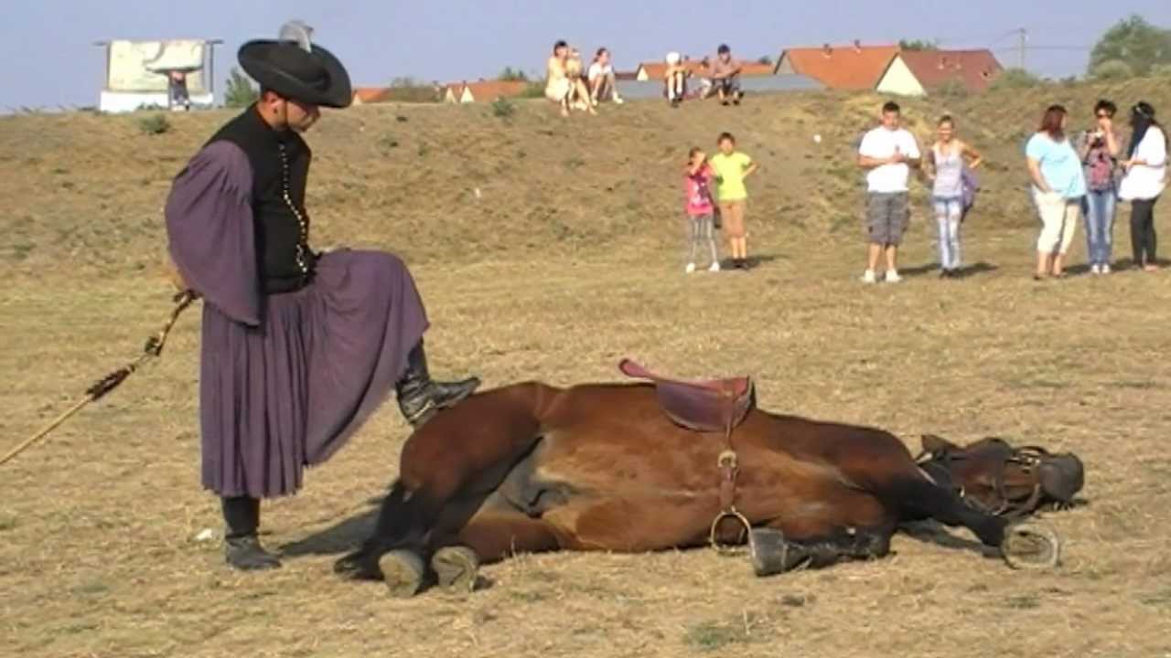 Csikós bemutató