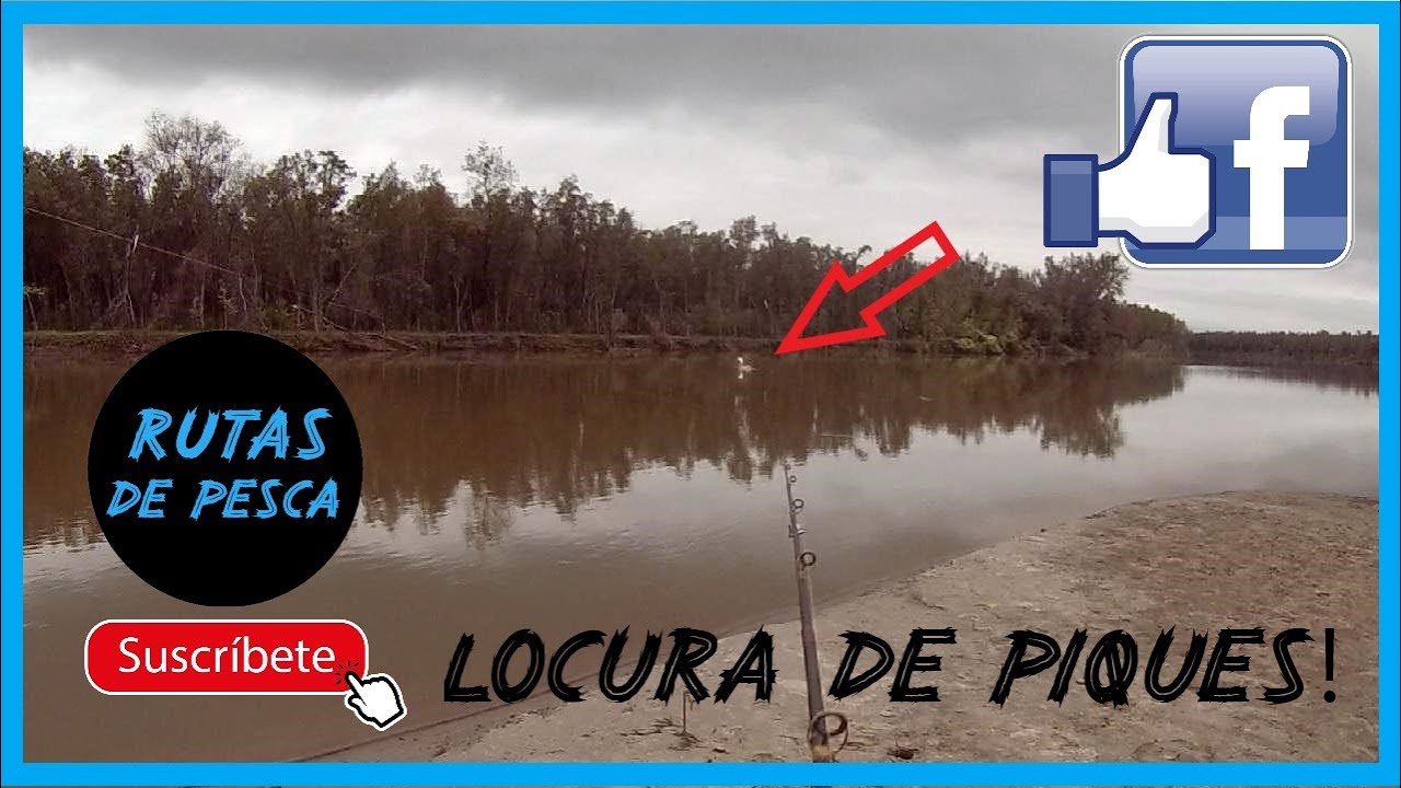 LOCURA de piques en ROGELIO 😱🎣 || ARMAMOS una CASA 🤣💪 || Pesca, Cocina y Supervivencia en la NADA 🥘🐟