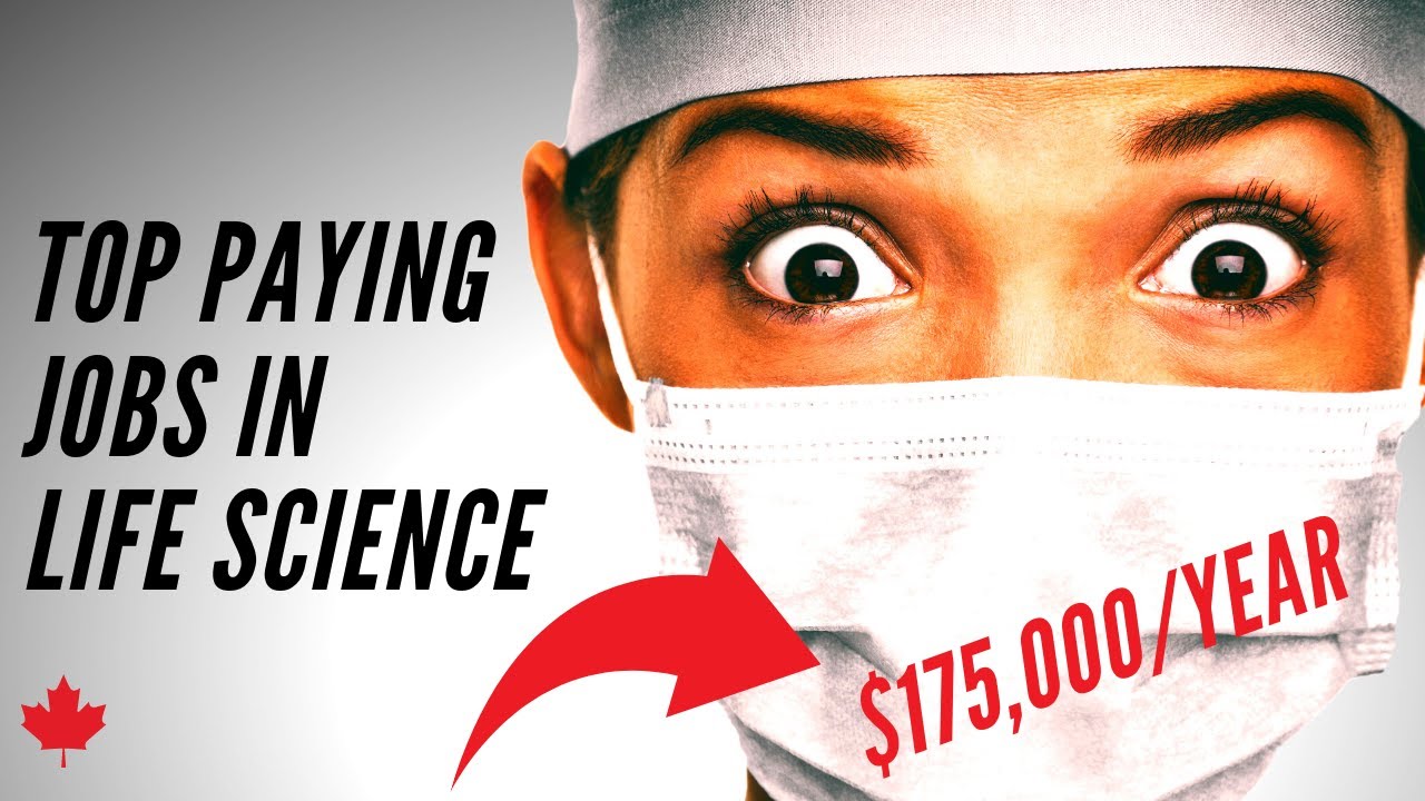BEST CAREERS IN LIFE SCIENCE | TOP 10 BEST PAYING JOBS WITH A LIFE SCIENCE DEGREE