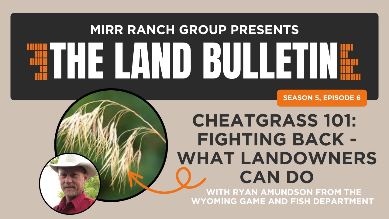 Cheatgrass 101: Fighting Back - What Landowners Can Do