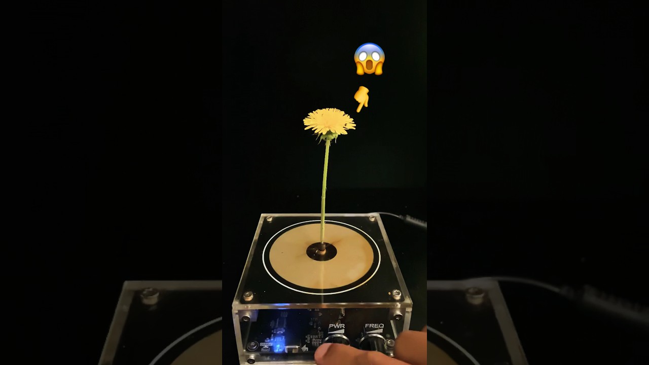 Tesla Coil vs Dandelion 😱 #experiment #teslacoil #science