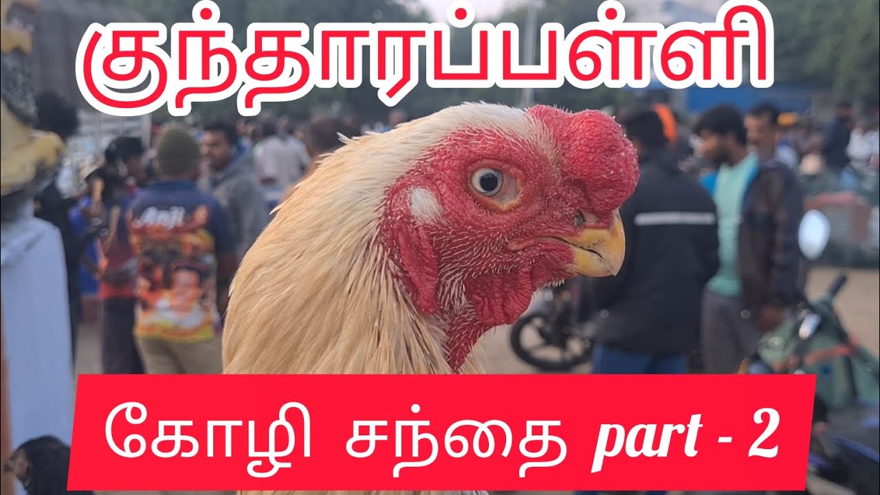 Pets market 🐓🐃🐦| #கோழி சந்தை # மாட்டு சந்தை #youtubevideo #video