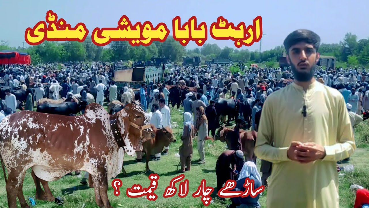 Maweshi Mandi 2024 Arhat Baba Maweshi Mandi.|| ارہٹ بابا مویشی منڈی میں مویشیوں کی کتنی قیمتیں ہیں ؟