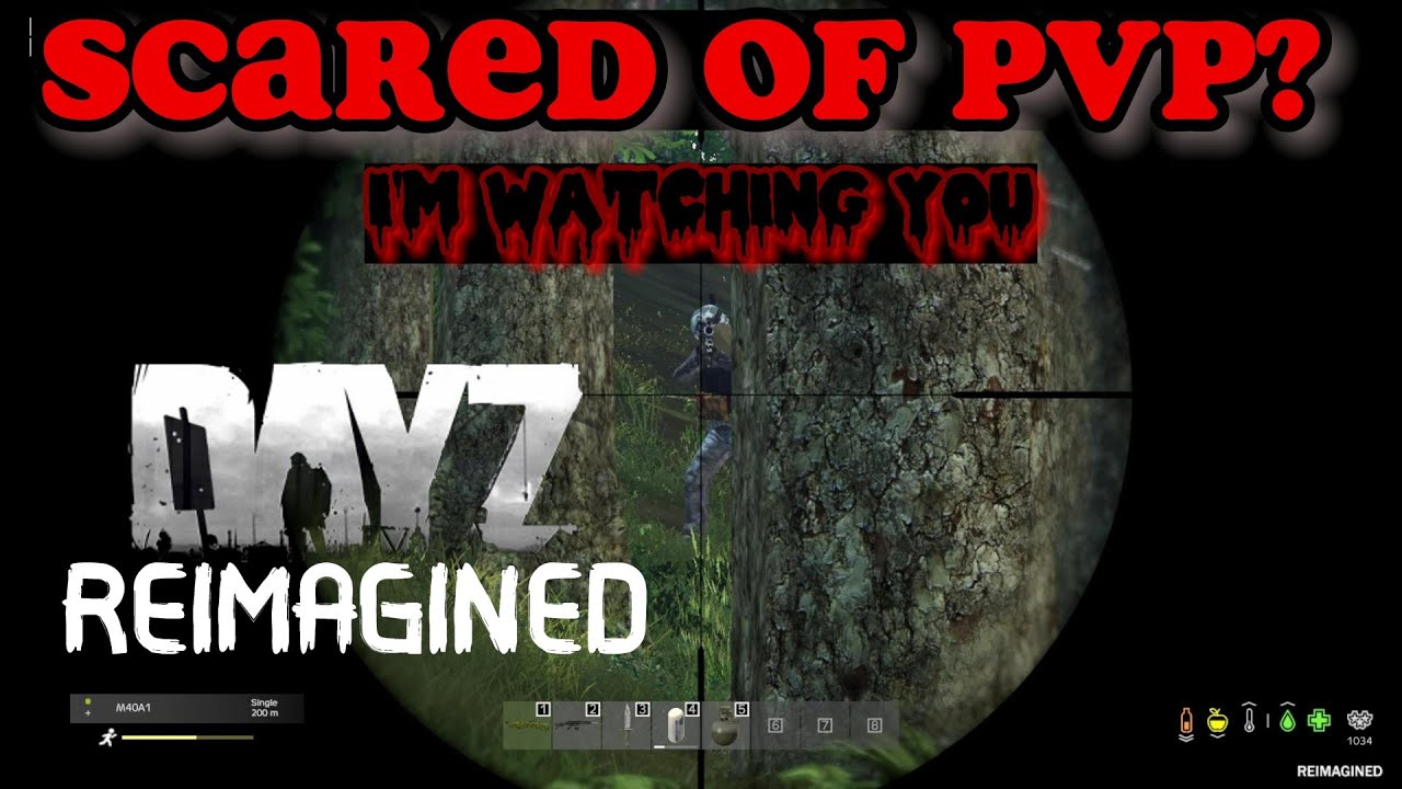 DayZ This is why you are scared ! ! !