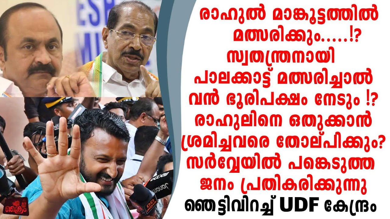 രാഹുൽ മാങ്കൂട്ടത്തിൽ മത്സരിക്കണം സർവ്വേയിൽ പങ്കെടുത്ത് ജനം പ്രതികരിക്കുന്നു...