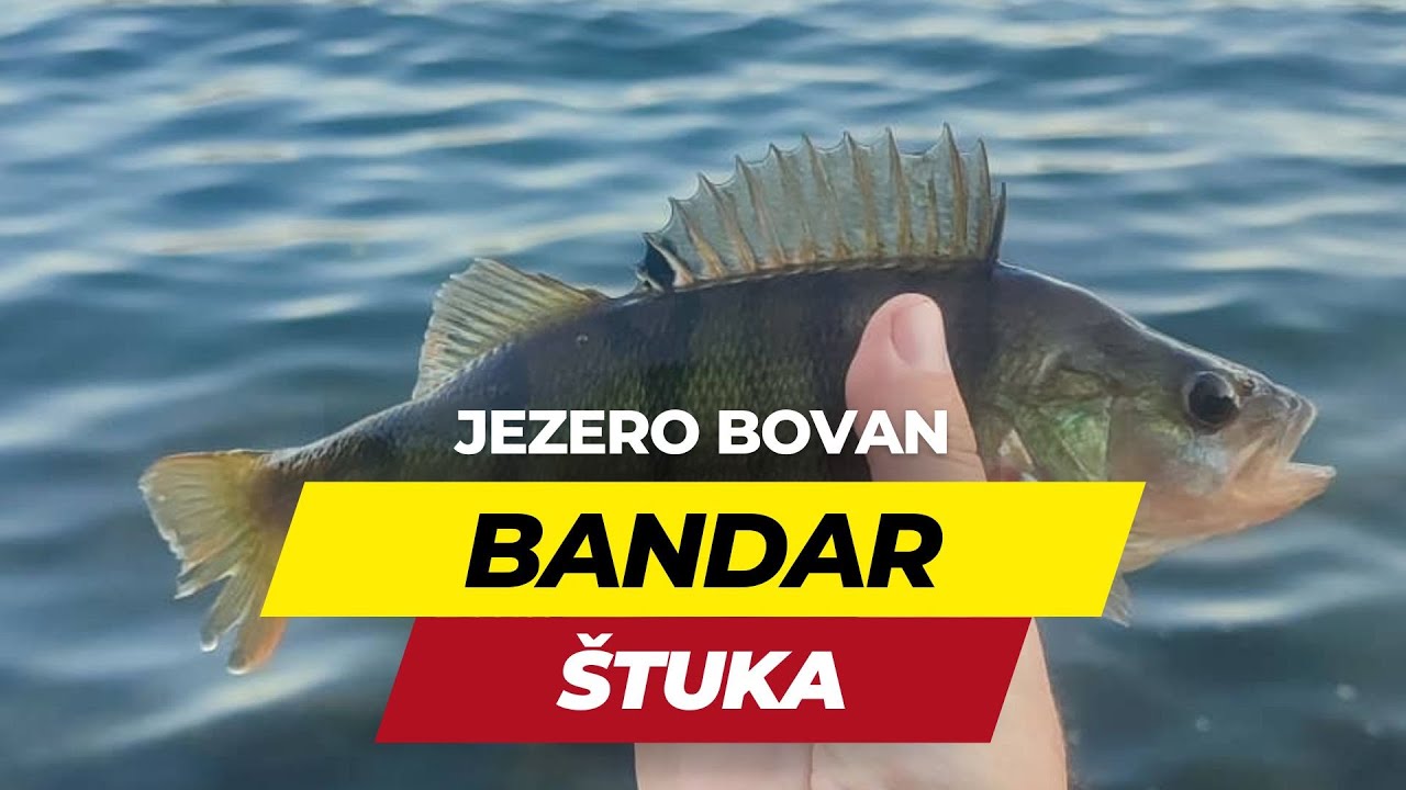 Pecanje Bandara i Stuke na Bovanskom Jezeru Sredinom Oktobra [Najava Bovanskog Kupa]