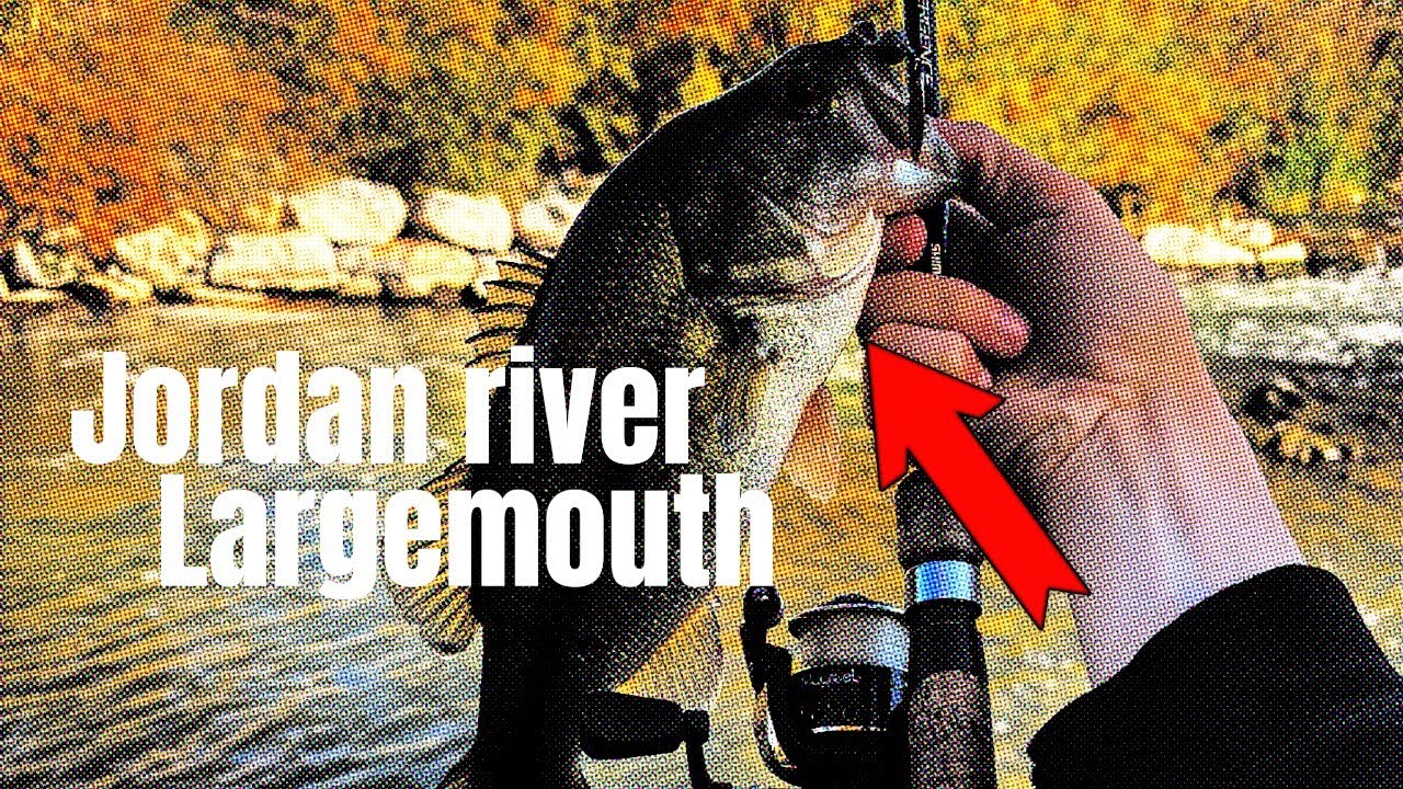 Jordan River Large Mouth ?!