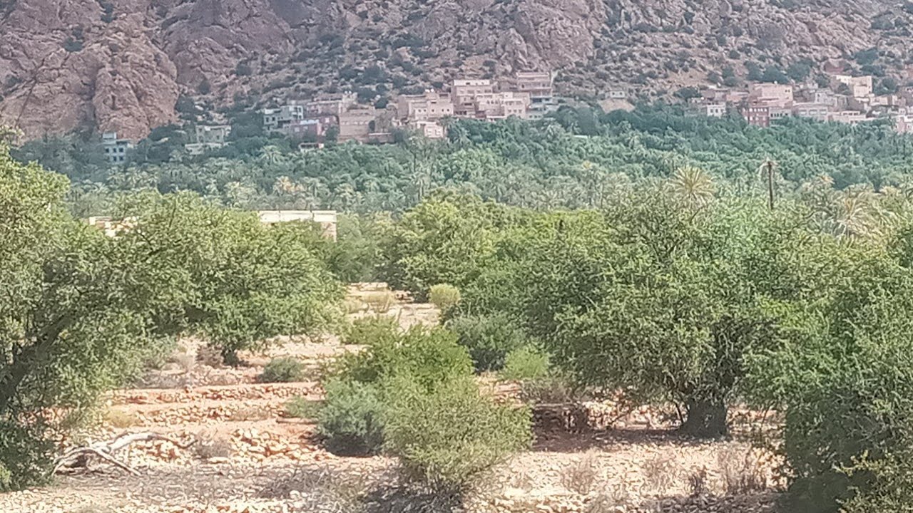 تفراوت املن طبيعة والمناظر