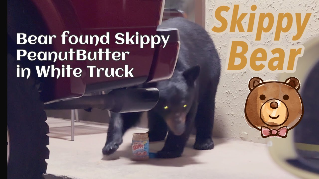 SKIPPY BEAR eating Skippy Peanut Butter Gatlinburg